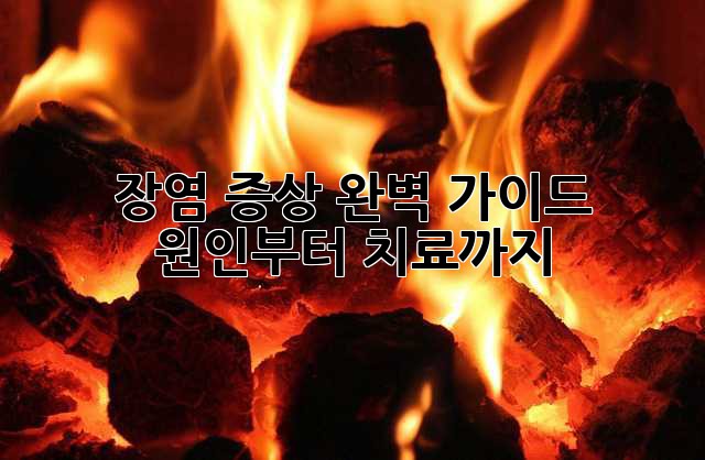 장염 증상 완벽 가이드: 원인부터 치료까지