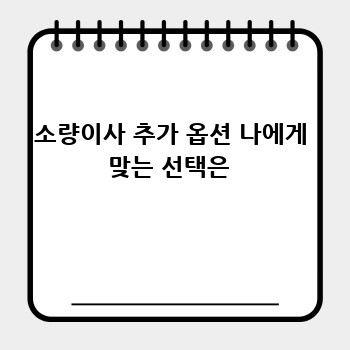 소량이사 추가 옵션 나에게 맞는 선택은 