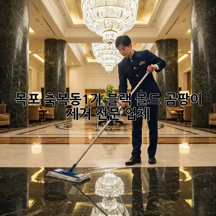 목포 축복동1가 블랙 몰드, 곰팡이 제거 전문 업체