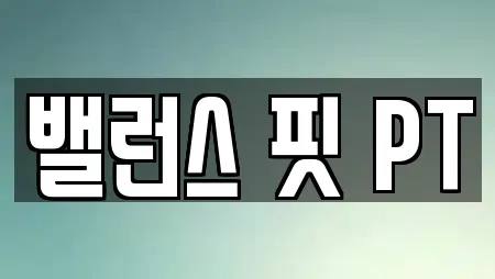 밸런스 핏 PT