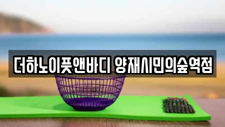 더하노이풋앤바디 양재시민의숲역점
