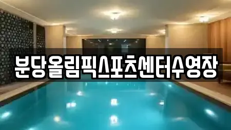 경기 서현동 수영장 업체 안내 22건