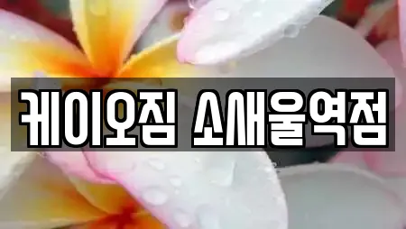 케이오짐 소새울역점