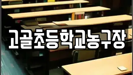 고골초등학교농구장