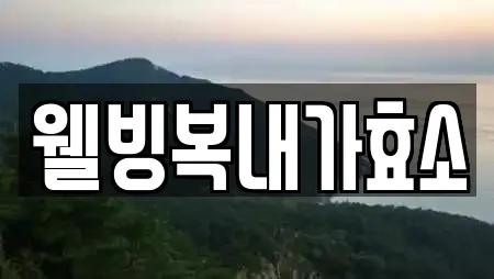 웰빙복내가효소