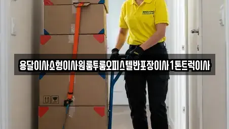 용달이사소형이사원룸투룸오피스텔반포장이사1톤트럭이사