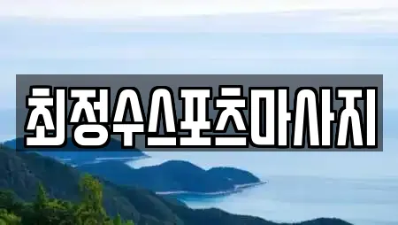 최정수스포츠마사지