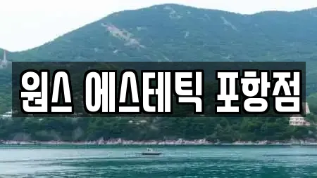 에스테틱 업체별 비교 22건 (경북 포항시 북구 항구동)
