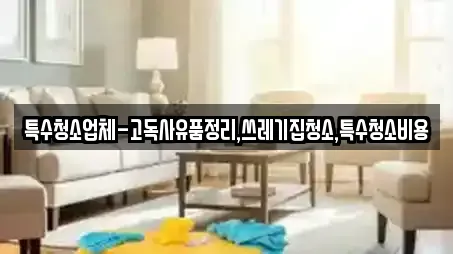 문당동 상가청소 업체 현황 4곳
