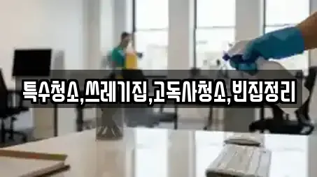 특수청소,쓰레기집,고독사청소,빈집정리