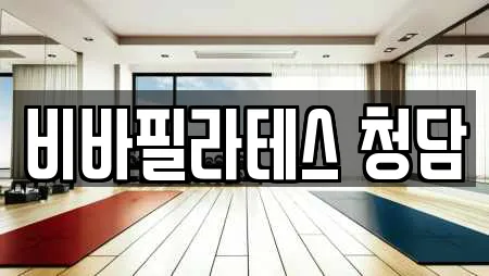 서울 청담동 전문 필라테스,복싱,암벽등반,요가,헬스장 업체 23곳