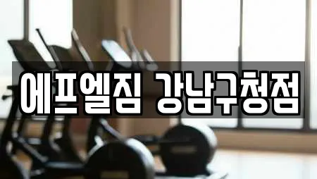 에프엘짐 강남구청점