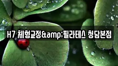 H7 체형교정&필라테스 청담본점