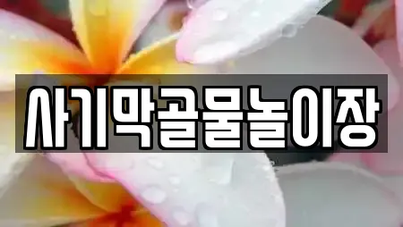 사기막골물놀이장