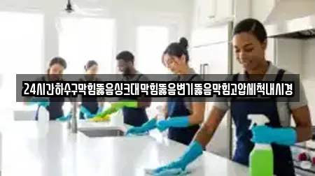 24시간하수구막힘뚫음싱크대막힘뚫음변기뚫음막힘고압세척내시경