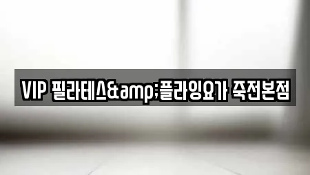 VIP 필라테스&플라잉요가 죽전본점