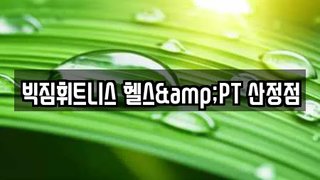 빅짐휘트니스 헬스&PT 산정점