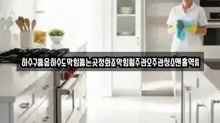 하수구뚫음하수도막힘뚫는곳정화조막힘횡주관오주관청소맨홀역류