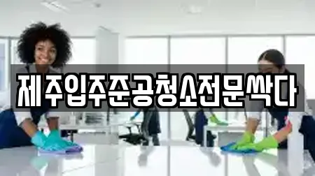 제주입주준공청소전문싹다