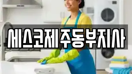 제주특별자치도 제주시 오등동 전문 청소,입주청소,사무실청소,상가청소,청소업체 업체 11곳