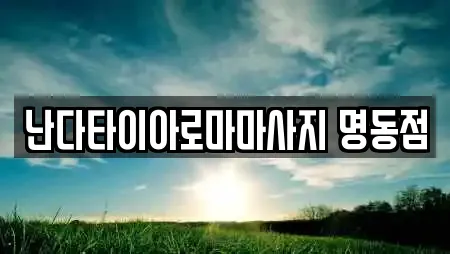 난다타이아로마마사지 명동점