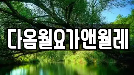 다옴월요가앤월레