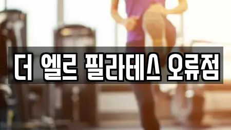 더 엘르 필라테스 오류점