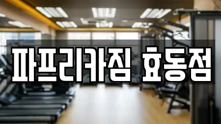 파프리카짐 효동점