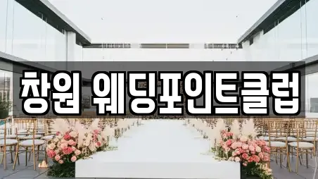 창원 웨딩포인트클럽