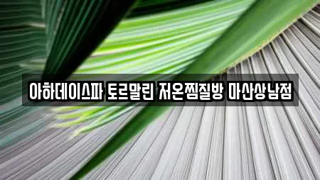 아하데이스파 토르말린 저온찜질방 마산상남점