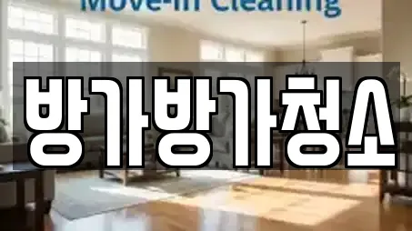 방가방가청소