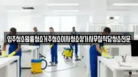 입주청소원룸청소거주청소이사청소상가사무실식당청소전문