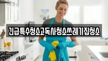 긴급특수청소고독사청소쓰레기집청소