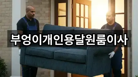 부엉이개인용달원룸이사