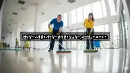 광주광역시 복룡동 입주청소 비교 정리 3곳