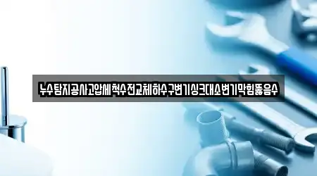 누수탐지공사고압세척수전교체하수구변기싱크대소변기막힘뚫음수