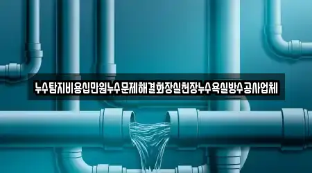 누수탐지비용십만원누수문제해결화장실천장누수욕실방수공사업체