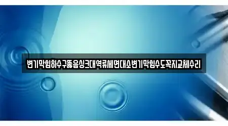 변기막힘하수구뚫음싱크대역류세면대소변기막힘수도꼭지교체수리