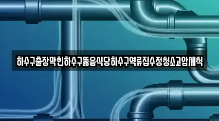 하수구출장막힌하수구뚫음식당하수구역류집수정청소고압세척
