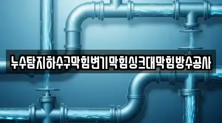 누수탐지하수구막힘변기막힘싱크대막힘방수공사