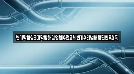 변기막힘싱크대막힘해결업체수전교체변기수리냄새차단연무소독