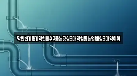 막힌변기뚫기막힌하수구뚫는곳싱크대막힘뚫는업체싱크대악취취