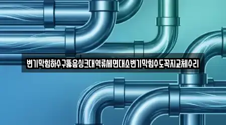 변기막힘하수구뚫음싱크대역류세면대소변기막힘수도꼭지교체수리