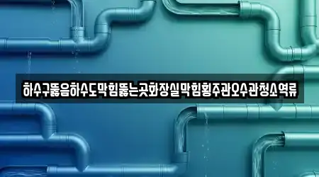 하수구뚫음하수도막힘뚫는곳화장실막힘횡주관오수관청소역류