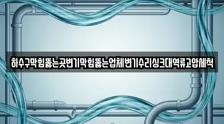 하수구막힘뚫는곳변기막힘뚫는업체변기수리싱크대역류고압세척