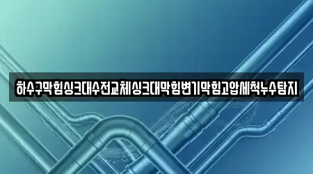 하수구막힘싱크대수전교체싱크대막힘변기막힘고압세척누수탐지