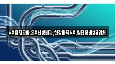 누수탐지공사,온수난방배관,천장바닥누수,첨단장비보유업체