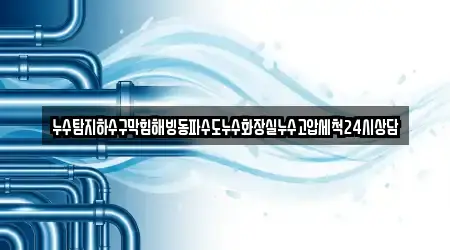 누수탐지하수구막힘해빙동파수도누수화장실누수고압세척24시상담