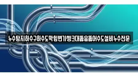 누수탐지하수구하수도막힘변기씽크대뚫음뚫어수도설비누수전문
