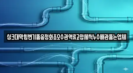 싱크대막힘변기뚫음정화조오수관역류고압세척누수배관뚫는업체